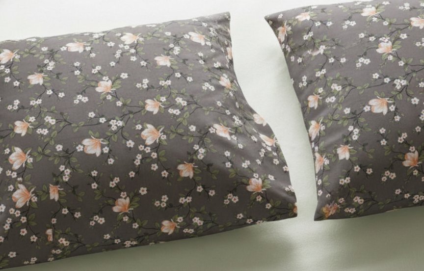 Cocoa Gold king size cotton bed sheet in Pakistan
