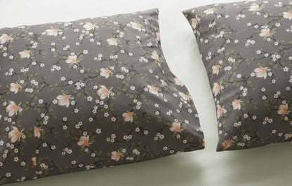 Cocoa Gold king size cotton bed sheet in Pakistan